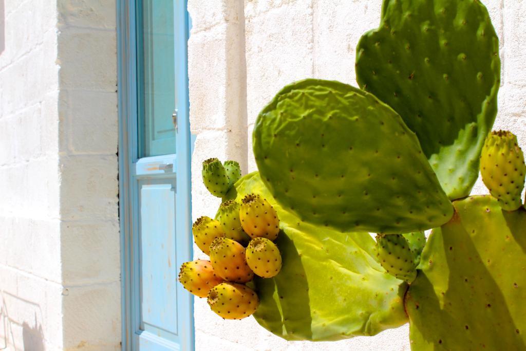 Masseria Fulcignano 갈라토네 외부 사진