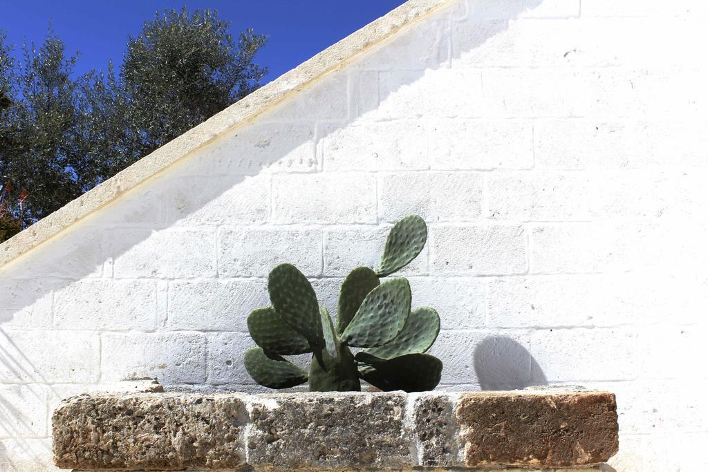 Masseria Fulcignano 갈라토네 외부 사진