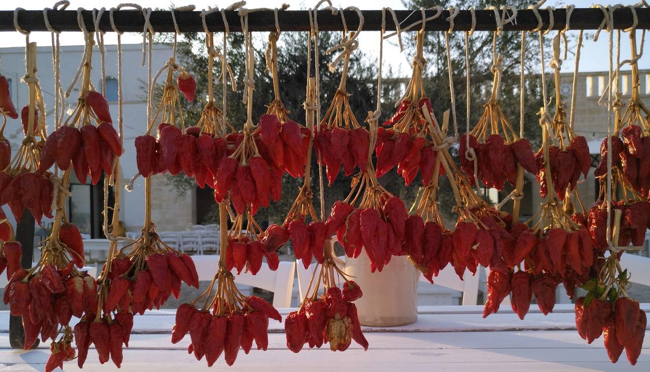 Masseria Fulcignano 갈라토네 외부 사진